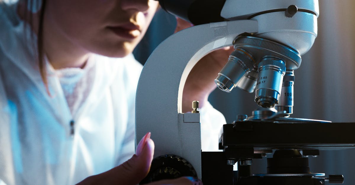 人人查app详情下载教程