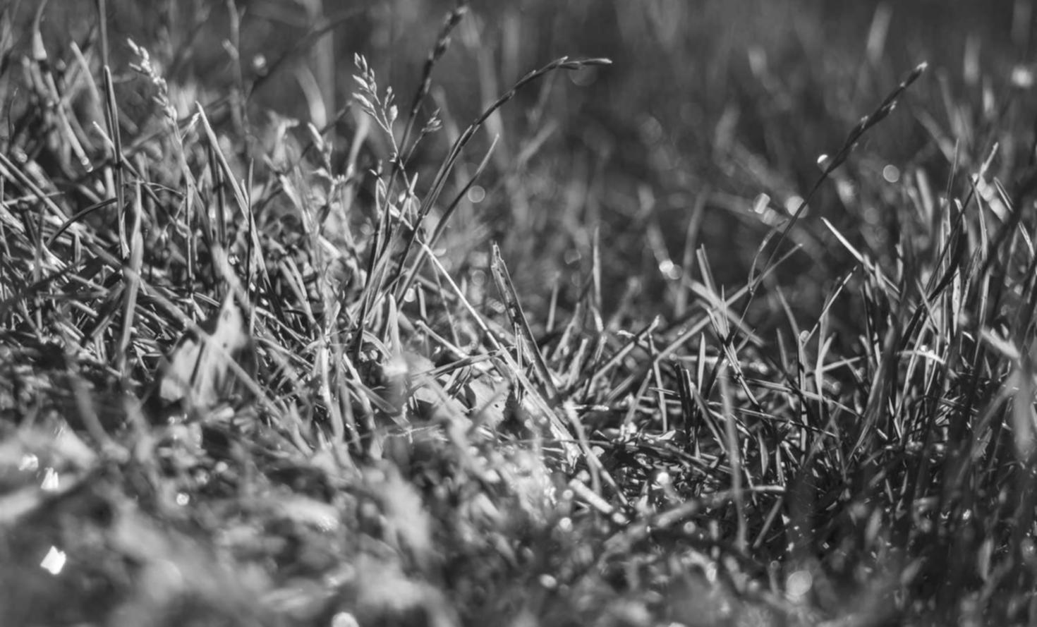 如何使用短信通知提醒老年人服药?