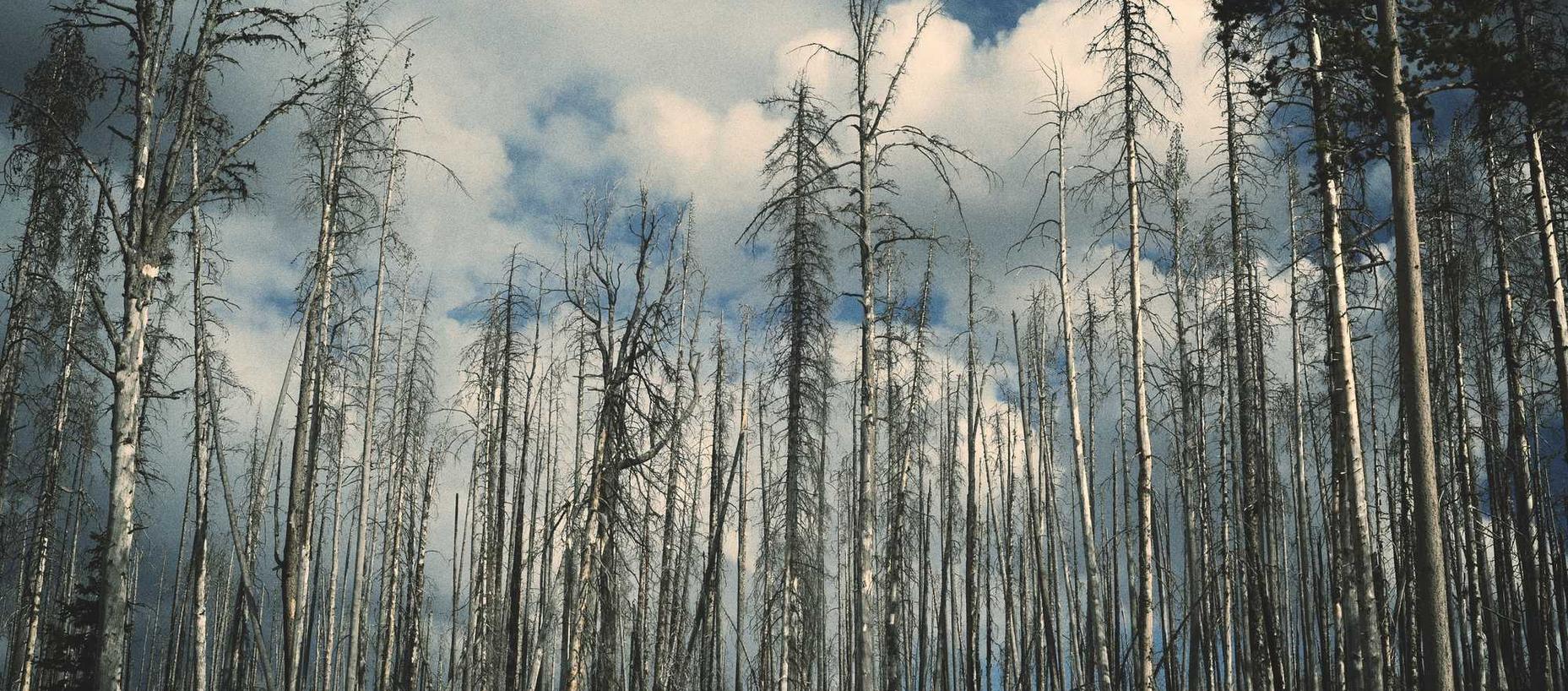 DDOS平台|如何防范黑客利用社交工程进行攻击？