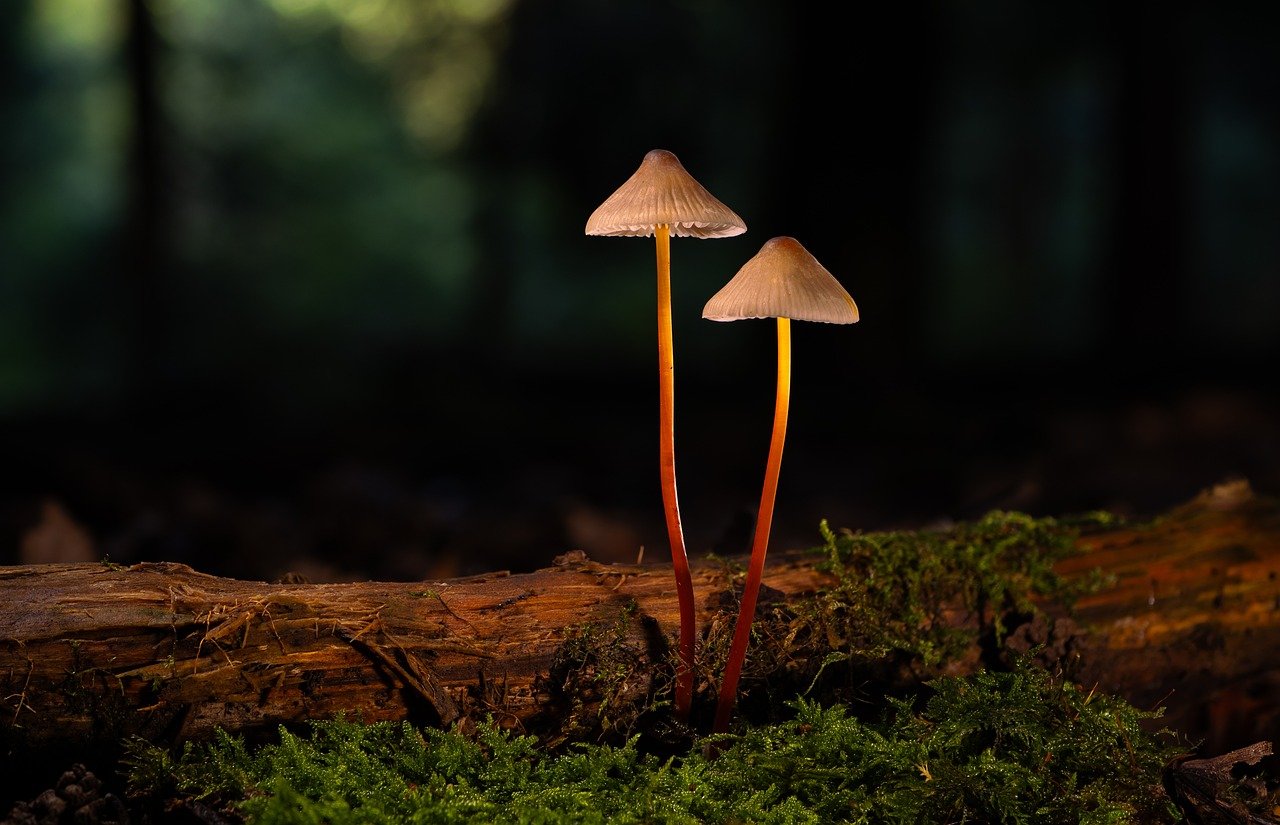 技术支持辅助制造不良游戏经验的后果