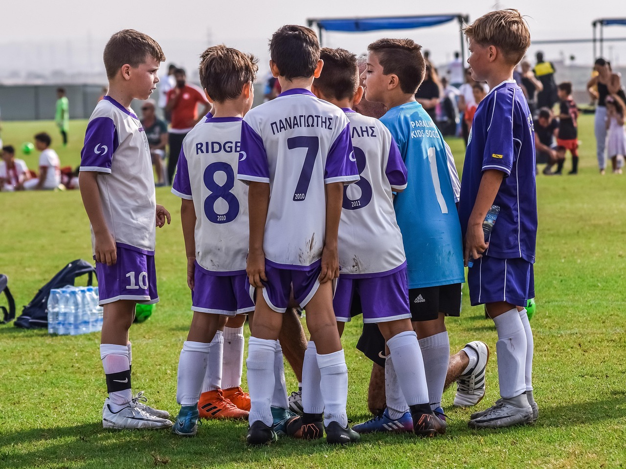 西部数码实名账号：流量卡的节假日活动：如何参与流量卡的节日活动？